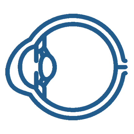 Cornea & Keratoconus