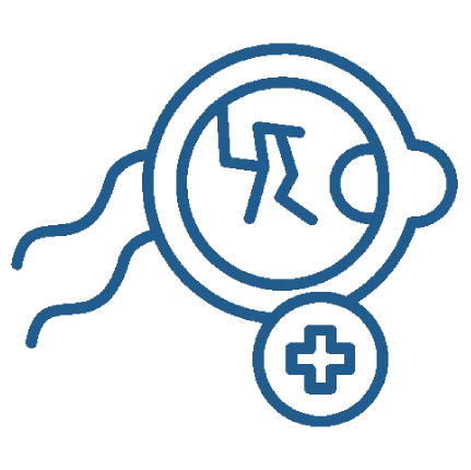 Neuro Ophthalmology