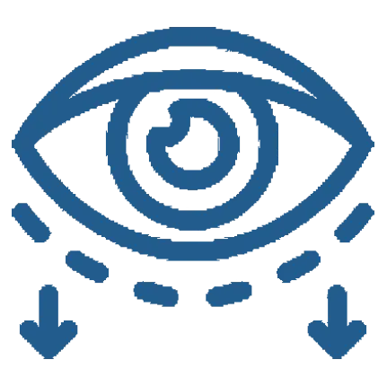 Orbit & Oculoplasty